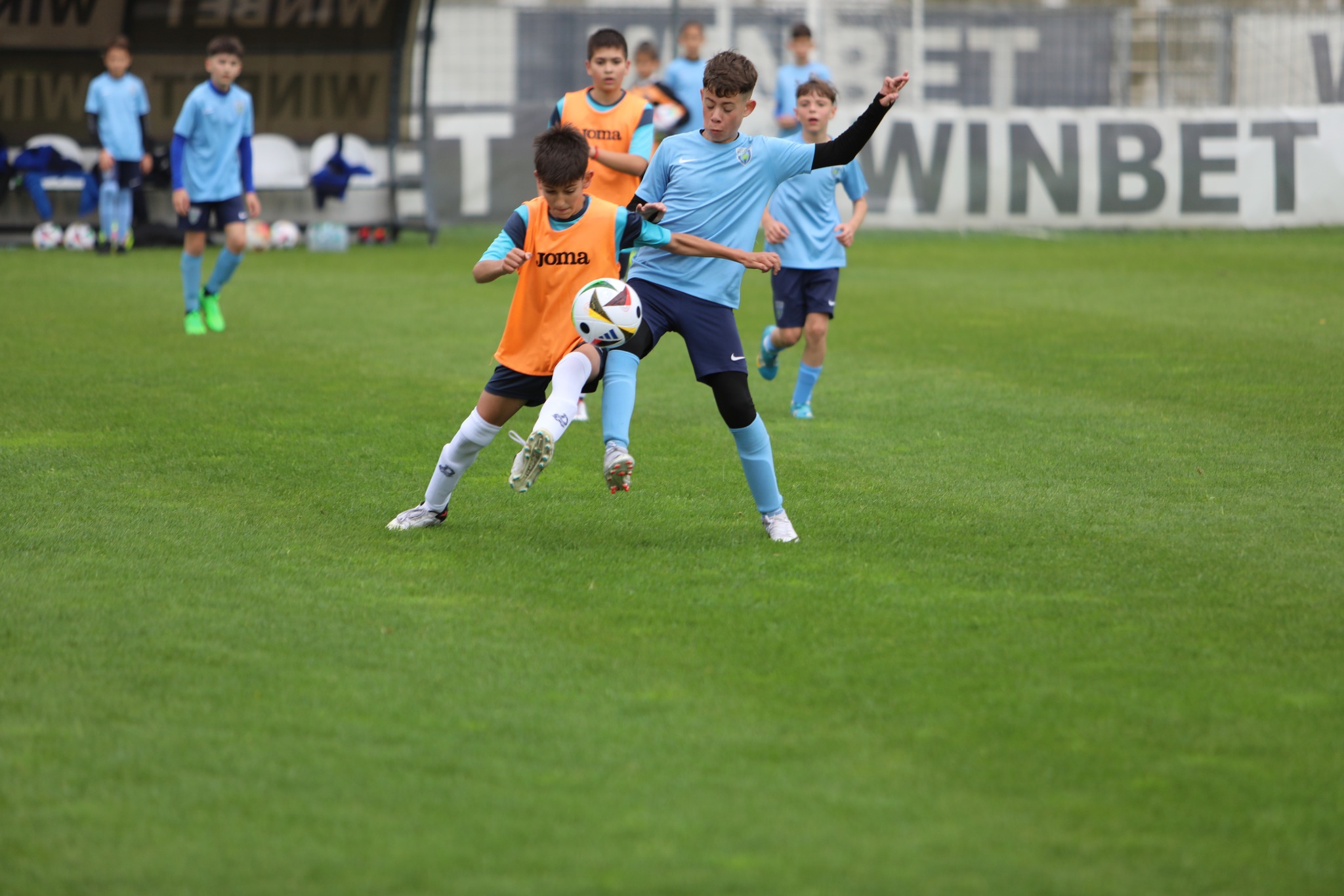 Northern Star Cup